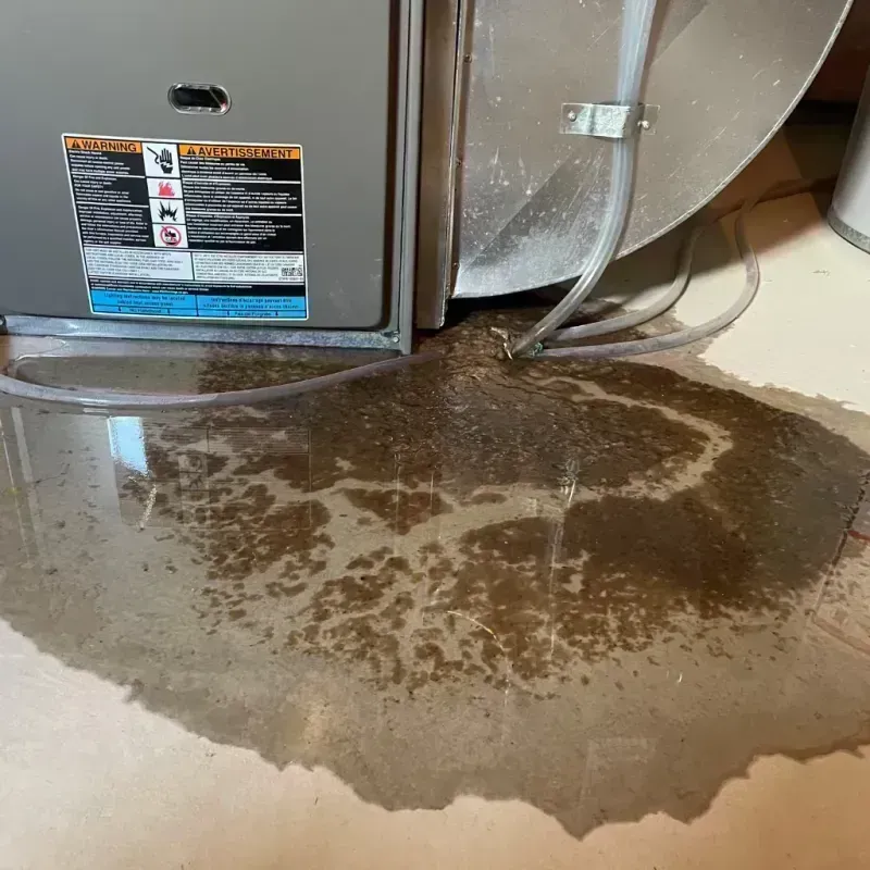 Appliance Leak Cleanup in Vineland, MN